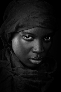 Salon Honorable Mention